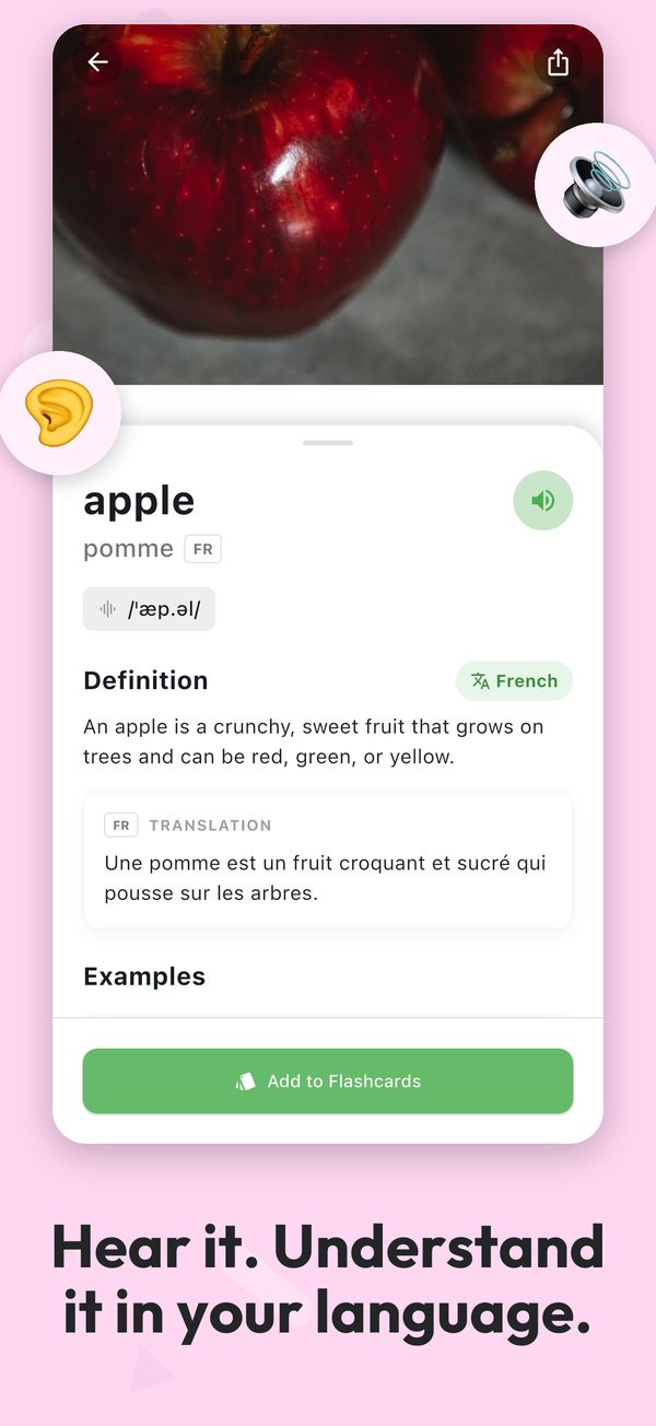 Lesson for the word apple with a French translation